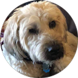 Profile photo of Teresa Artuso