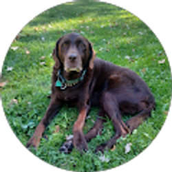 Profile photo of Pat Payne