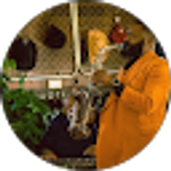 Profile photo of Ricky Howard
