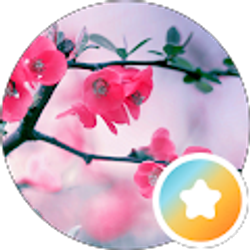 Profile photo of Diane L