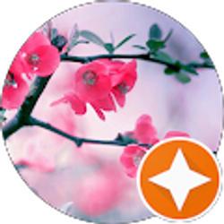 Profile photo of Diane L