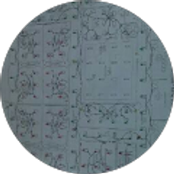 Profile photo of Zachory Gavis