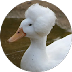 Profile photo of Joseph Santos