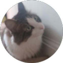 Profile photo of Laurie Infantino