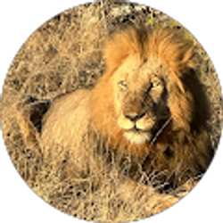 Profile photo of Paula Rose