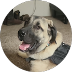 Profile photo of Stella Harris