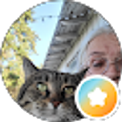 Profile photo of Debra Miller