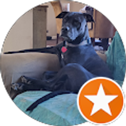 Profile photo of Alyse Prudente