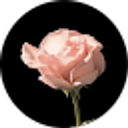 Profile photo of Veronica Orosco