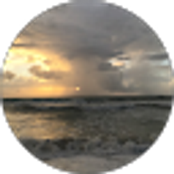 Profile photo of Timothy Rifenburgh