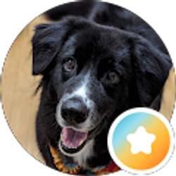 Profile photo of Alex ONeal