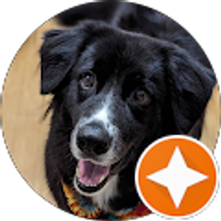 Profile photo of Alex ONeal