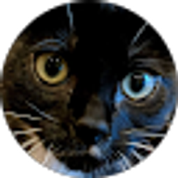 Profile photo of Tyler Brito