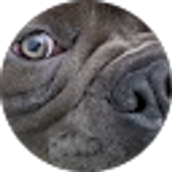 Profile photo of Wendy Funk