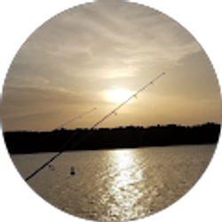 Profile photo of Joe M