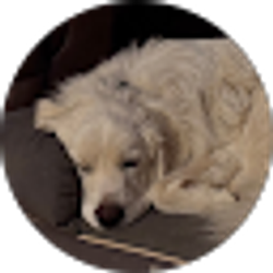 Profile photo of Kelsey Davidson