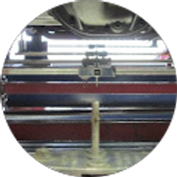 Profile photo of Geoff Steck