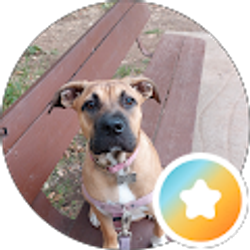 Profile photo of Len Goldkind