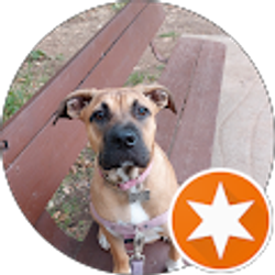 Profile photo of Len Goldkind