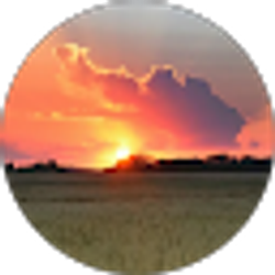 Profile photo of Chauloan Le