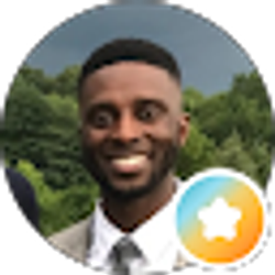 Profile photo of Tolani Ibikunle