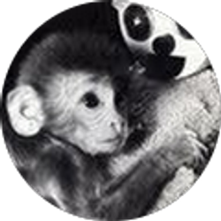 Profile photo of Sara Schwartz