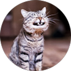 Profile photo of Kris Potter