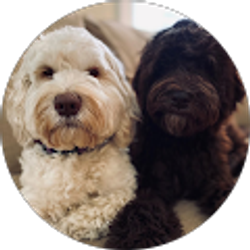 Profile photo of kathryn H