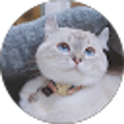 Profile photo of Mia Zhu