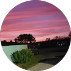 Profile photo of Liam