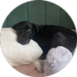 Profile photo of Jazmin Fisher