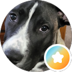 Profile photo of Jeff