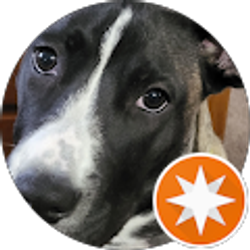 Profile photo of Jeff