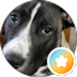 Profile photo of Jeff
