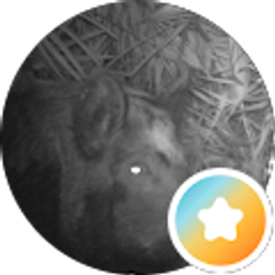 Profile photo of Bill Hall