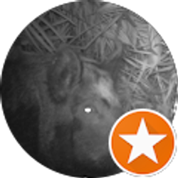 Profile photo of Bill Hall