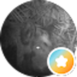 Profile photo of Bill Hall