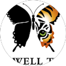 Profile photo of Jamie Moya