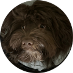 Profile photo of Evan Claus