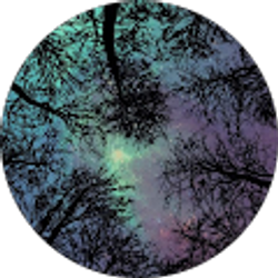 Profile photo of Ariana Standing Cloud