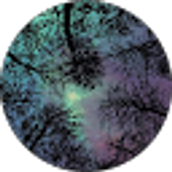 Profile photo of Ariana Standing Cloud