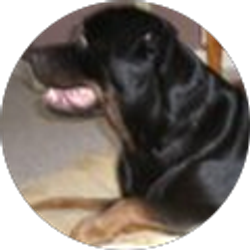 Profile photo of Marlon Pinder