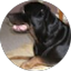 Profile photo of Marlon Pinder