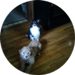 Profile photo of Christine Krause