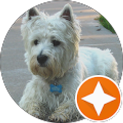 Profile photo of Marlene Hill