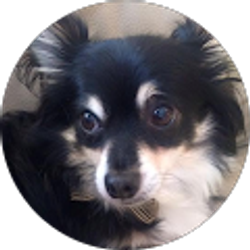 Profile photo of Megan Betty