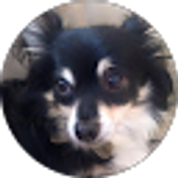 Profile photo of Megan Betty