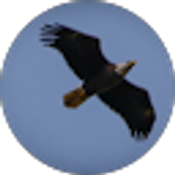 Profile photo of The Eagles Nest