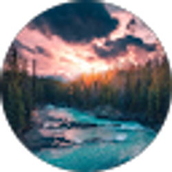 Profile photo of Schollander Drea