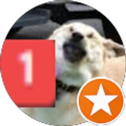 Profile photo of Anthony G